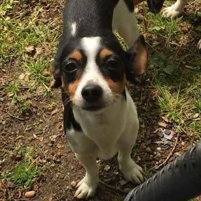 Freddys Kummerkasten-Beitrag-Bild