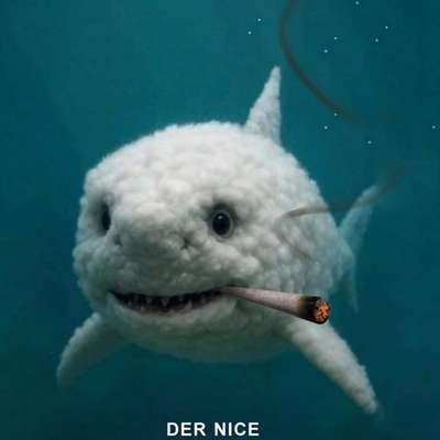 Hunde Memes-Beitrag-Bild