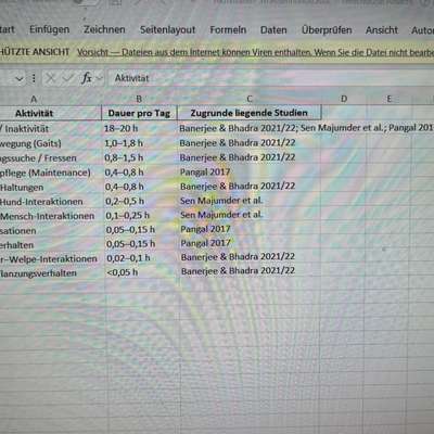 Stress bei Hunden durch Vermenschlichung?-Beitrag-Bild