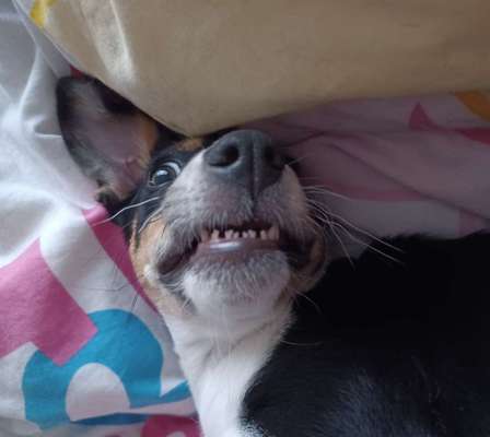 20. Handy -Foto-Callenge-Beitrag-Bild