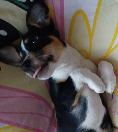 Handyfoto challenge Nr. 13: Waschlappen raus!-Beitrag-Bild