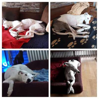 23. Collagen-Challenge: Portraits-Beitrag-Bild