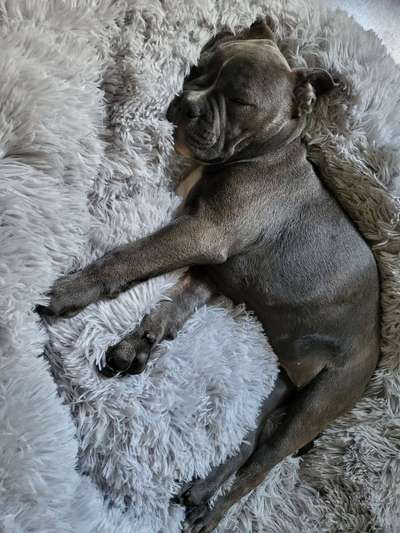 13. Farben-Fotochallenge "Grau"-Beitrag-Bild