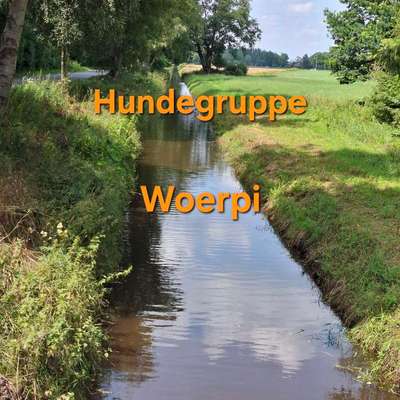 Hundetreffen-Worpswede, Tarmstedt und umzu-Bild