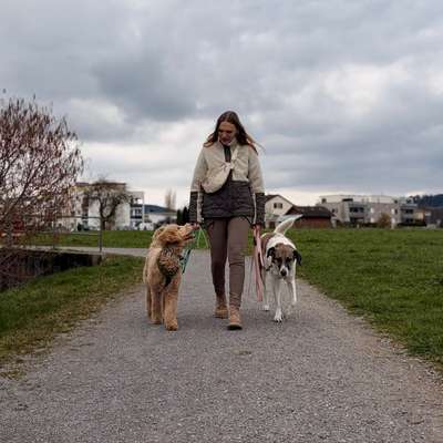 Giftköder-Walking-Gruppe mit "Special Effects"-Bild