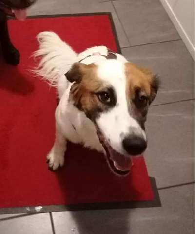 Handy-Foto Challange Nr. 10-Beitrag-Bild