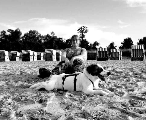 98.Fotochallange  - Hunde zeigen Zuneigung-Beitrag-Bild