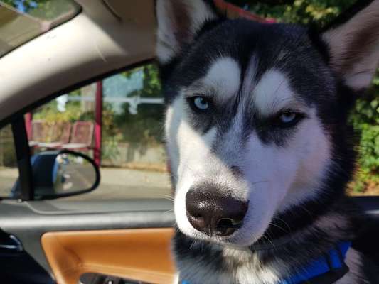 Lieblingsbild-Beitrag-Bild