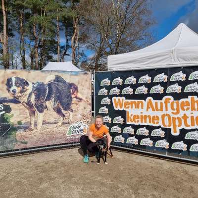 Hundetreffen-Canicross Training und Teilnahme