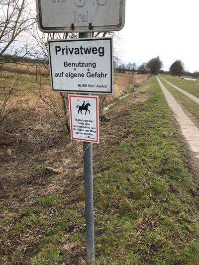 Hundeauslaufgebiet-Kanalweg  Repsholt-Bild