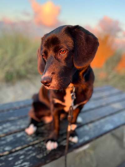 17. Farben Foto Challenge: Pastellfarben-Beitrag-Bild