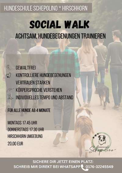 Hundetreffen-Social Walk,Achtsam Hundebegegnungen trainieren-Bild