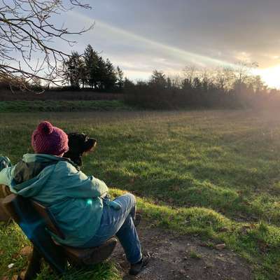 Hundetreffen-Social Walk (nach Absprache)-Bild