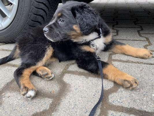 Sie werden so schnell erwachsen ...-Beitrag-Bild