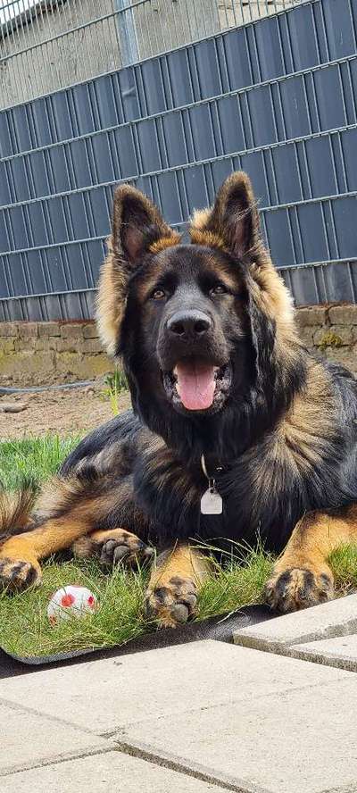 Fotowettbewerb Natur-Beitrag-Bild