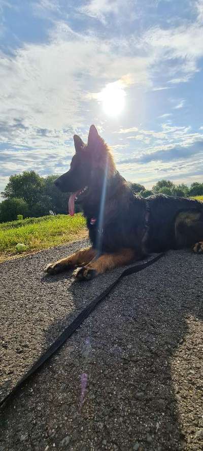 Fotowettbewerb Natur-Beitrag-Bild