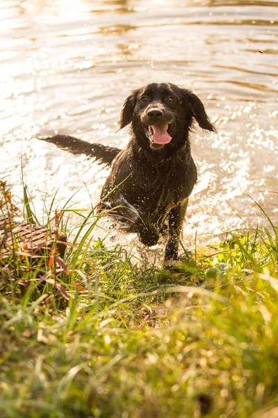 Foto Challenge - BEENDET - bitte aktuelle Challenge nutzen-Beitrag-Bild