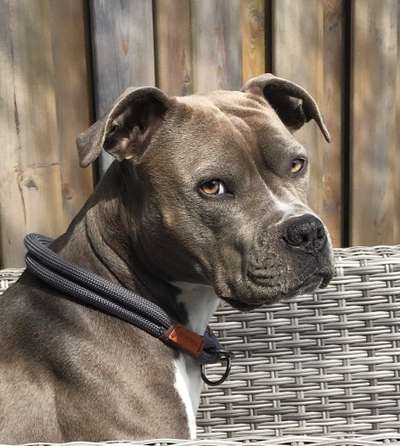 Fotochallange Nr. 57     PORTRÄT.   Beendet!!!!!!!!-Beitrag-Bild