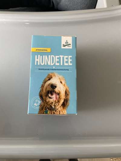 Hundetee und Leckerchen-Beitrag-Bild