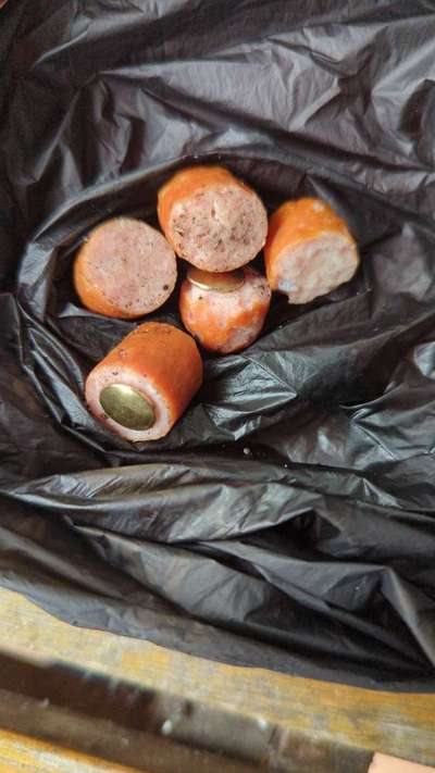 Giftköder-Wurst mit Reißzwecken-Bild