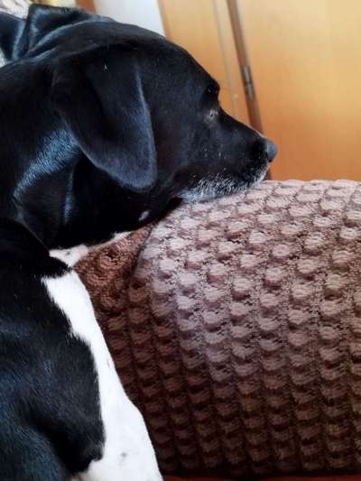 Klare Flüsdigkeit läuft aus der Nase wie Wasser.  Bei extrem anschwellung der rechten Lymphdrüse.-Beitrag-Bild