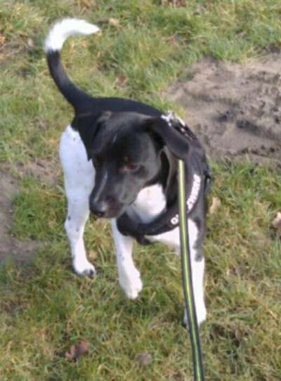 Ist das ein...?-Beitrag-Bild