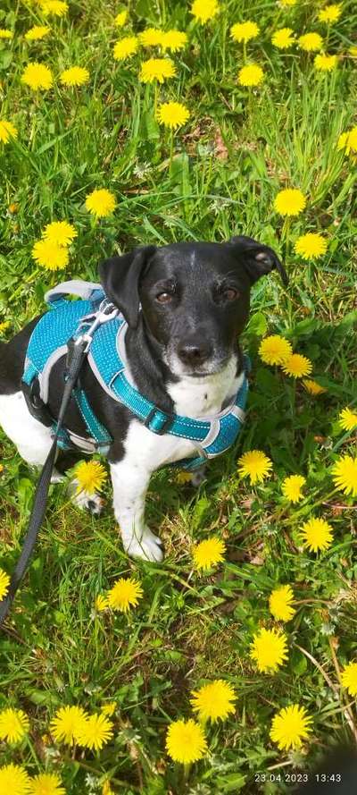 Doppelgänger gesucht !-Beitrag-Bild