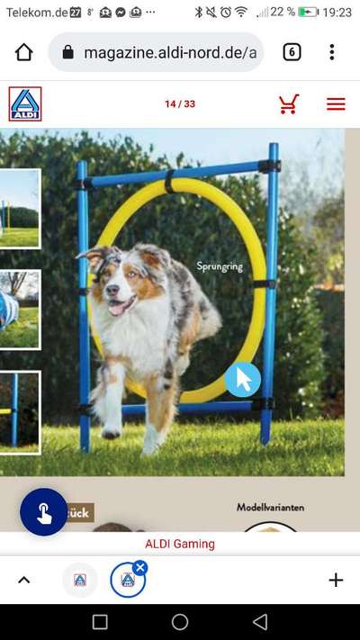 Agility-Beitrag-Bild
