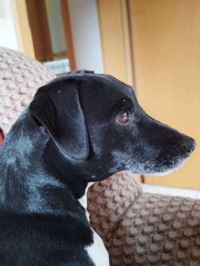 Klare Flüsdigkeit läuft aus der Nase wie Wasser.  Bei extrem anschwellung der rechten Lymphdrüse.-Beitrag-Bild