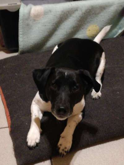 Doppelgänger gesucht !-Beitrag-Bild