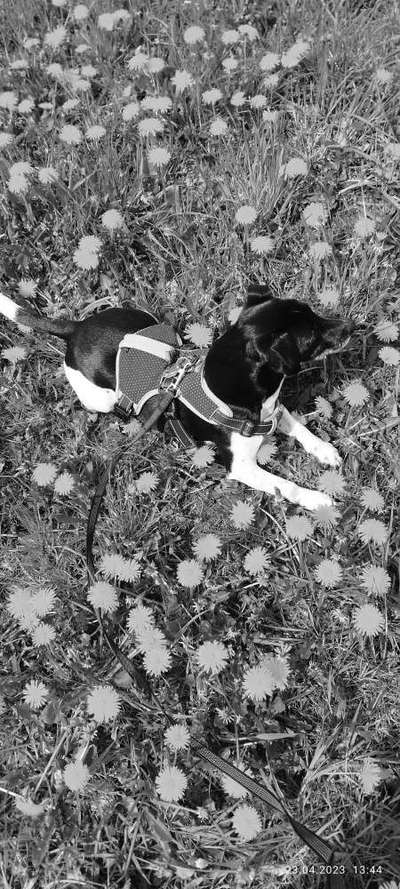 FarbenFoto - Challenge: Sepia-Beitrag-Bild