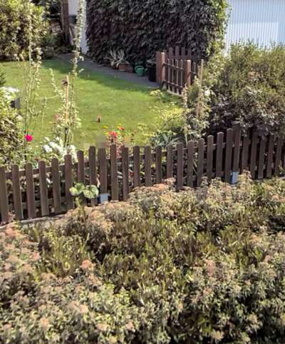 Giftköder-Blaues Schneckenkorn im Vorgarten-Bild