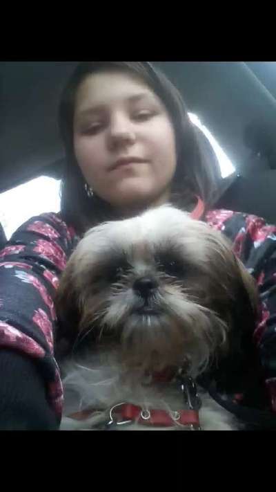 Das erste Foto-Beitrag-Bild