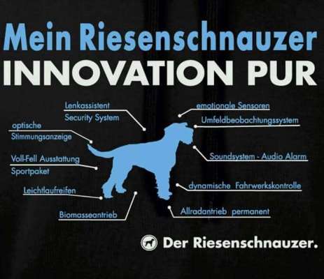 Wo sind die Riesenschnauzer?-Beitrag-Bild