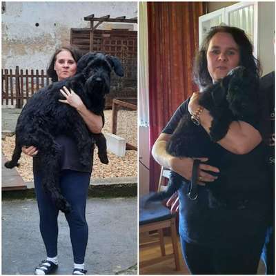 Welpen Bilder !-Beitrag-Bild