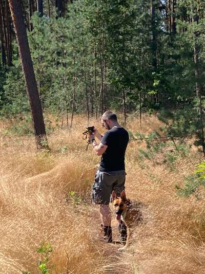 Alles rund um den Schäferhund, diskutieren erwünscht.-Beitrag-Bild