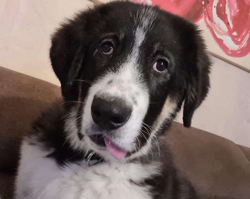 Her mit dem Grimassen-Beitrag-Bild