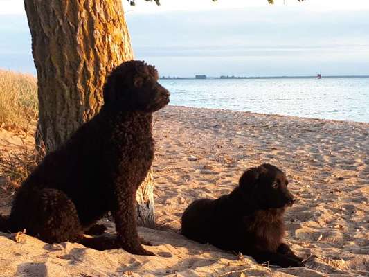 Sonnenaufgänge oder - untergänge-Beitrag-Bild