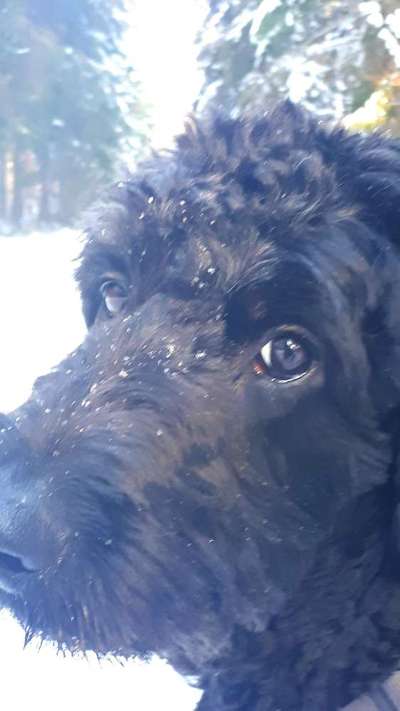 Verspielt-Beitrag-Bild