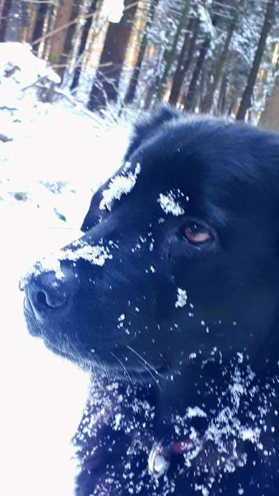 Verspielt-Beitrag-Bild