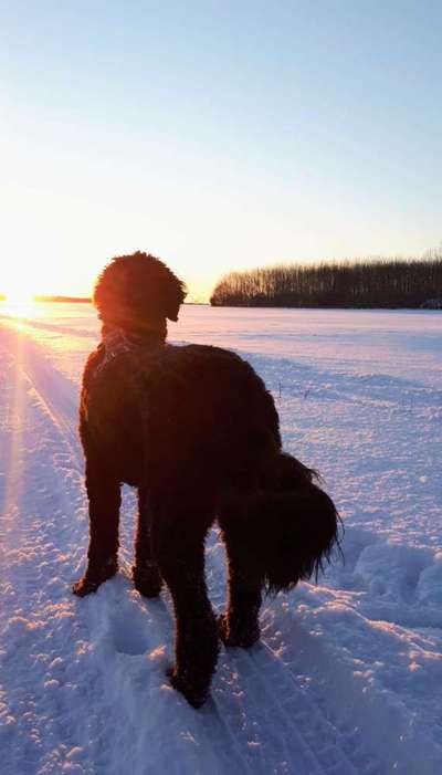 Sonnenaufgänge oder - untergänge-Beitrag-Bild