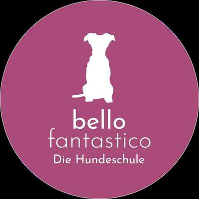 Hundeschulen-Hundeschule Bello Fantastico-Bild