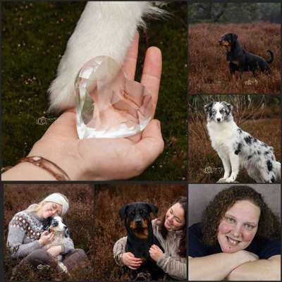 Tierfotografen-Little Photo Moments by Katrin Kastner-Bild