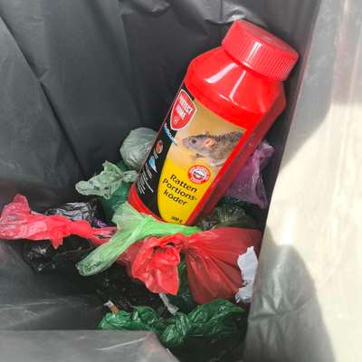 Giftköder-Eventuell Giftköder-Bild