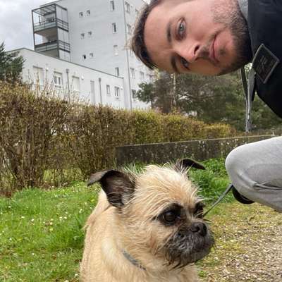 Hundetreffen-Treffen für kleine Hunde in Sendling-Profilbild