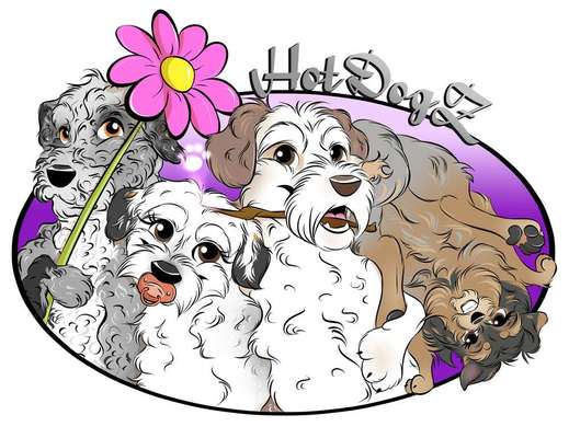 Hundeschulen-Die HotDogZ - Hund-Trick-Show und Hunde-Tricktraining-Bild