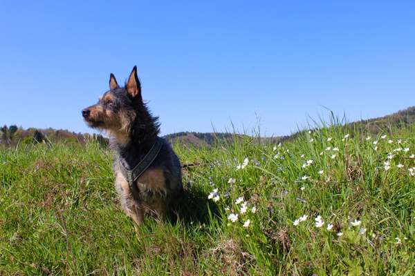 Fotowettbewerb Natur-Beitrag-Bild