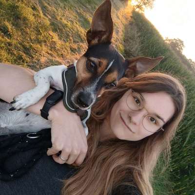 Hundetreffen-Wir sind offen für Treffen 🎊-Profilbild