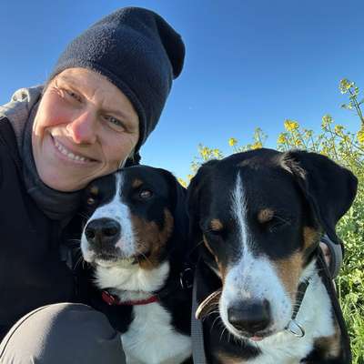 Hundetreffen-Trainingspartner gesucht (K.S.I.)-Bild