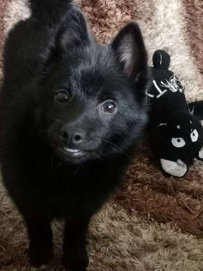 Immer lächeln !-Beitrag-Bild